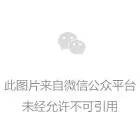 香港科技大学于第四十九届日内瓦国际发明展上创历史佳绩